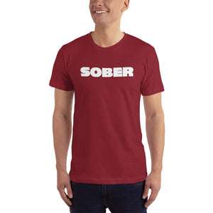Recovery T shirts, "Sober Horizontal" - t-blurt.com