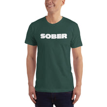 Load image into Gallery viewer, Recovery T shirts, &quot;Sober Horizontal&quot; - t-blurt.com