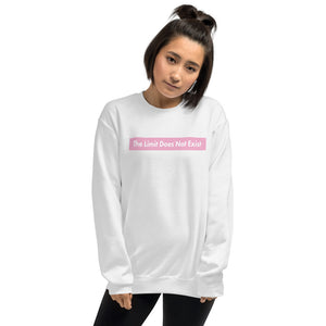 The Limit Does Not Exist Sweatshirt